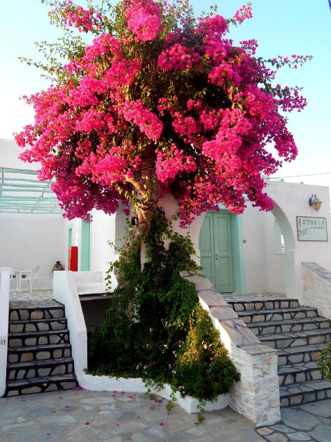 דירות נאוסה Astoria Paros מראה חיצוני תמונה